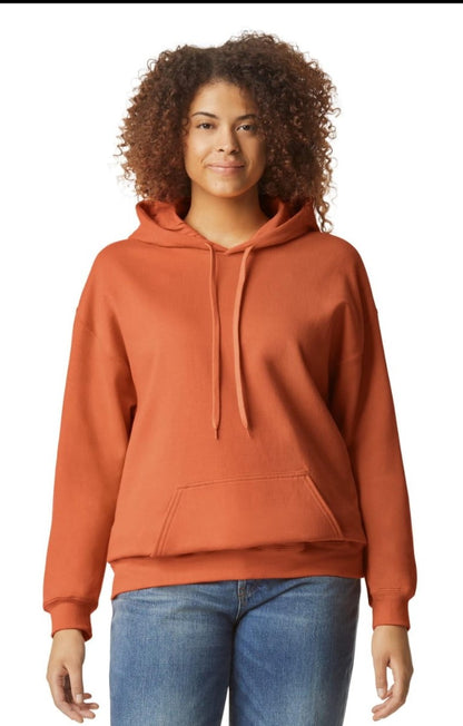 PLUS SIZE ADULTS  HOODIES
